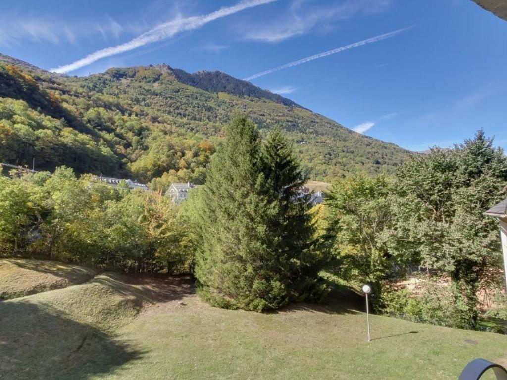 a yard with trees and a mountain in the background at Appartement Luz-Saint-Sauveur, 3 pièces, 6 personnes - FR-1-402-44 in Luz-Saint-Sauveur