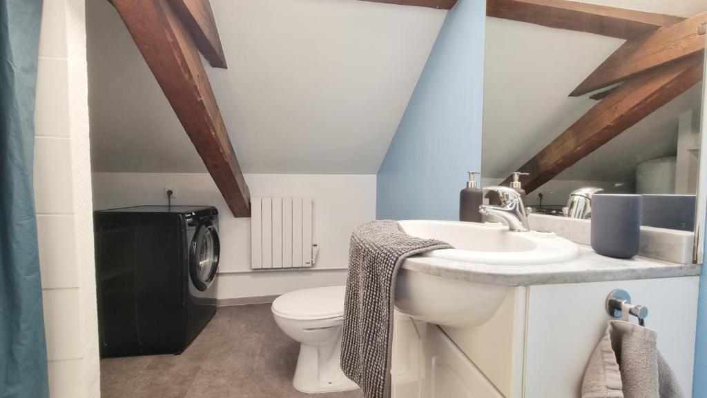 2 Charmants logements * CHARMANT GITE COLMAR * – photo 48
