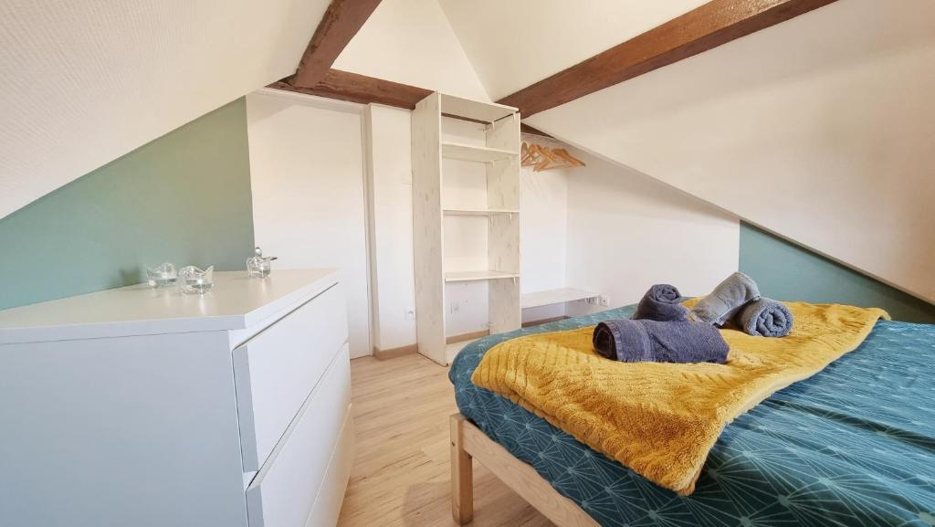 2 Charmants logements * CHARMANT GITE COLMAR * – photo 49