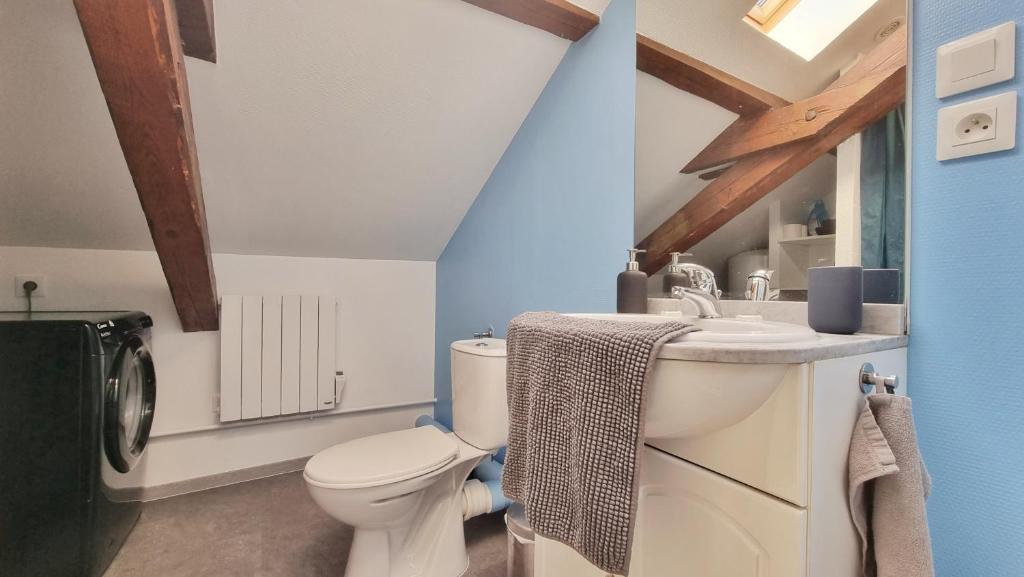 2 Charmants logements * CHARMANT GITE COLMAR * – photo 52
