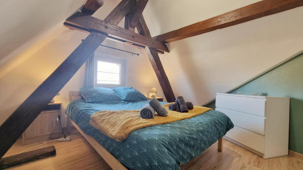 2 Charmants logements * CHARMANT GITE COLMAR * – photo 60