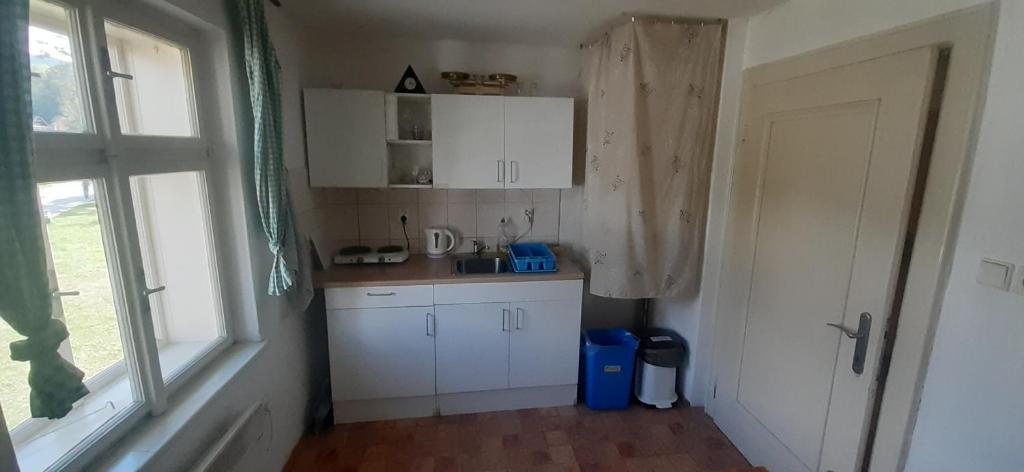 Kuchyň nebo kuchyňský kout v ubytování Vila Martin