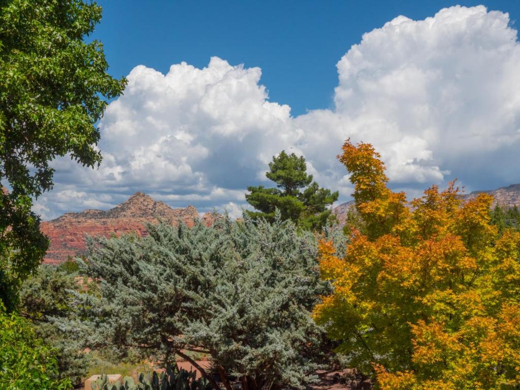 Sky Ranch Lodge photo