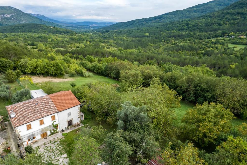 an aerial view of a house in the woods at Šeki Šest in Sočerga