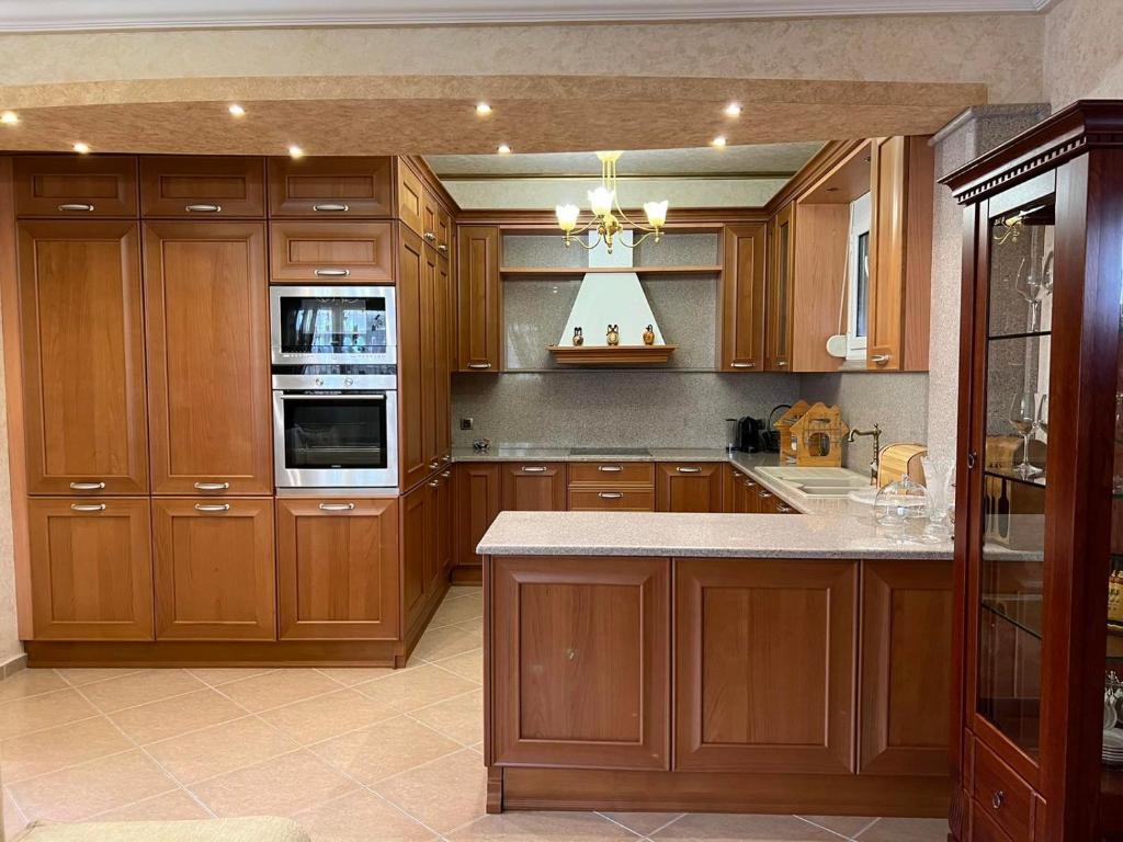 Kuchyň nebo kuchyňský kout v ubytování SOFIA APARTMENTS