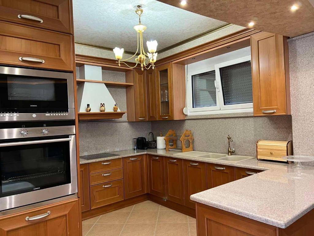Kuchyň nebo kuchyňský kout v ubytování SOFIA APARTMENTS