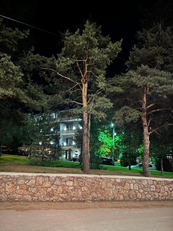 DIM'S Hotel - Image 7