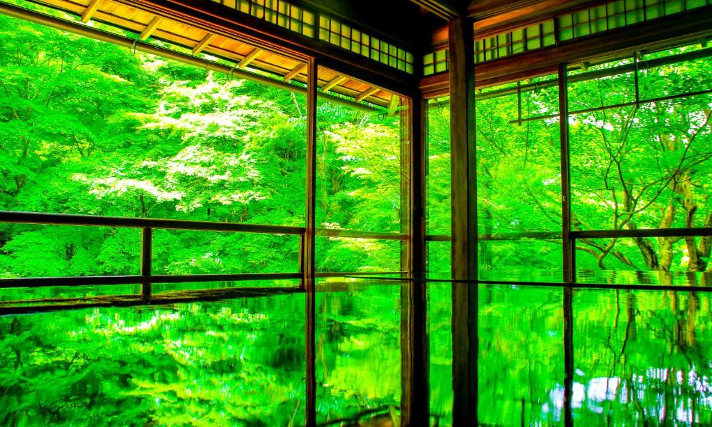 Zahrada ubytování HOTEL RINGS KYOTO