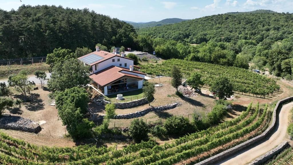 una vista aerea di una casa in un vigneto di Agriturismo Budin a Sgonico