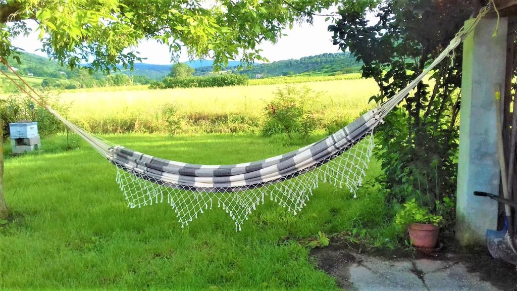 a hammock hanging from a tree in a yard at CHAMBRES D&#39;HOTES 2 à 4p ou GITE DE GROUPE 15p, 7 ch, 6 sdb, parc et salle de réception in Villeneuve-de-Berg