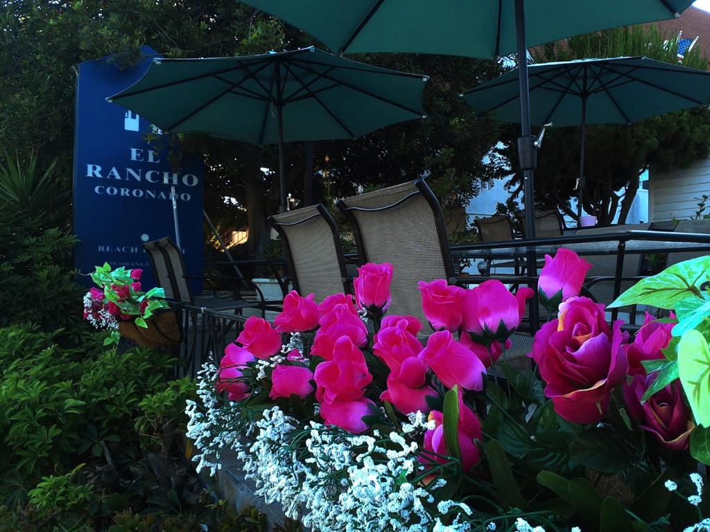 a bunch of pink flowers in front of a sign at El Rancho Motel in San Diego