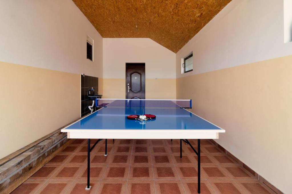 Stolní tenis v ubytování Green Art House nebo okolí