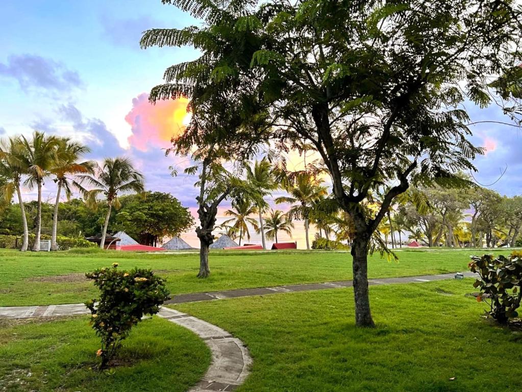 un parque con dos árboles y un camino en La Perle des Caraïbes, en Sainte-Anne