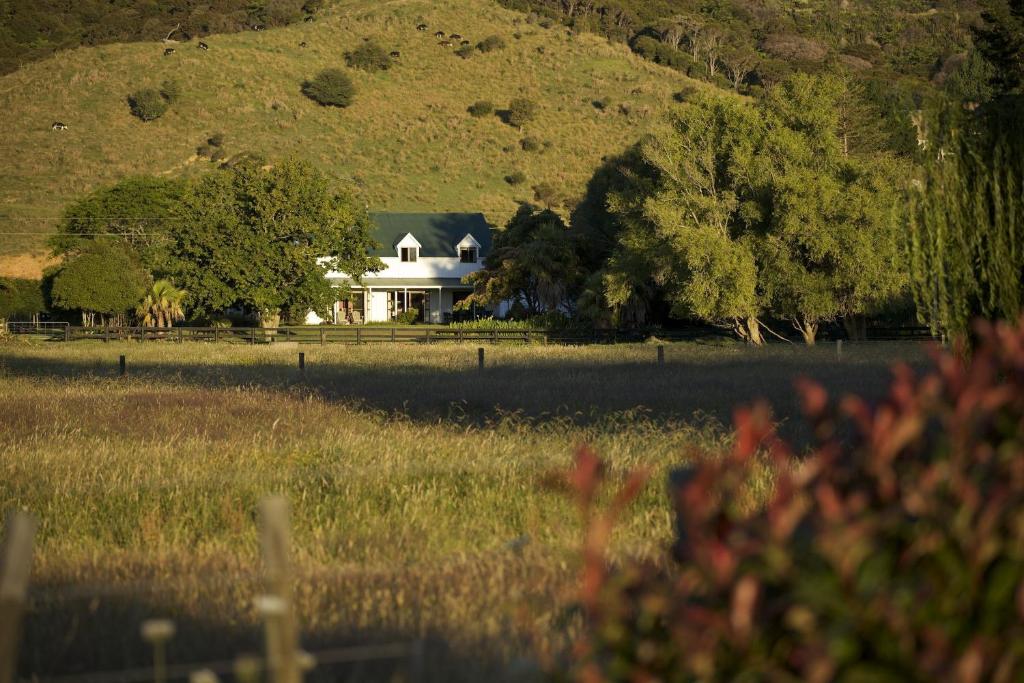 Jacaranda Lodge - Resim 5
