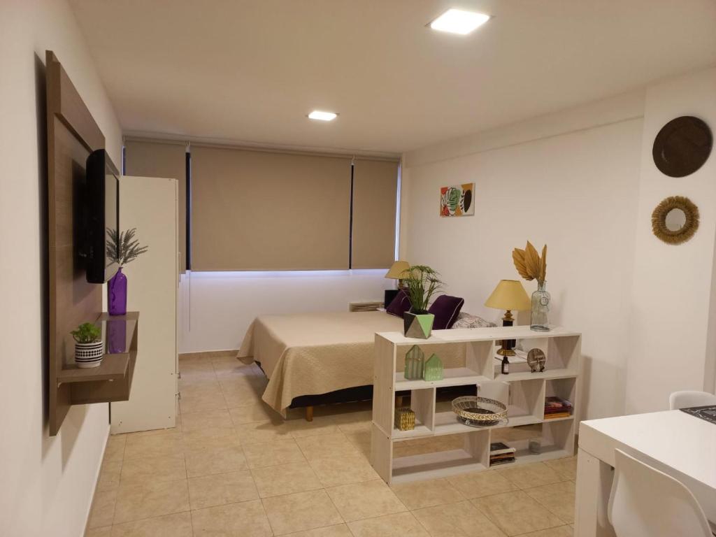 1 dormitorio con 1 cama y TV en una habitación en gammarooms en Neuquén