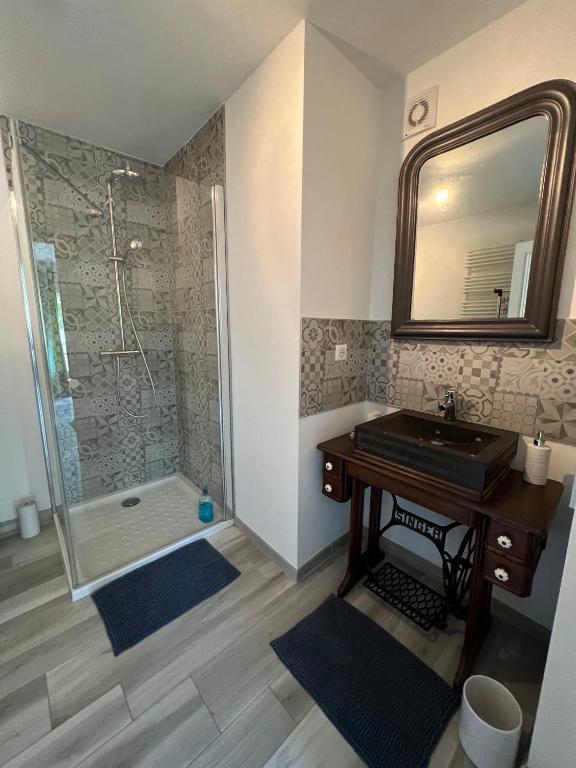un bagno con lavandino e doccia con specchio di Chambre privée Chiberta a Chanas