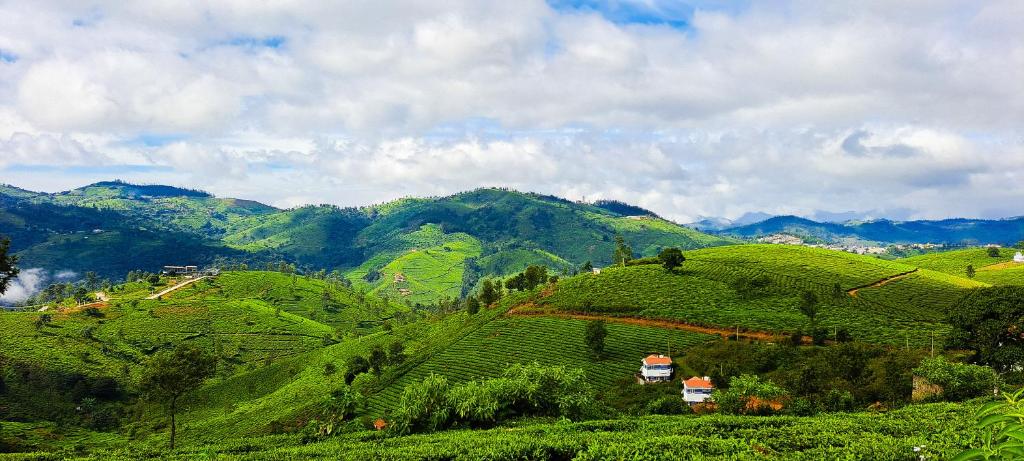 Ghar - Homestay, Where Family Lives Together - Housity