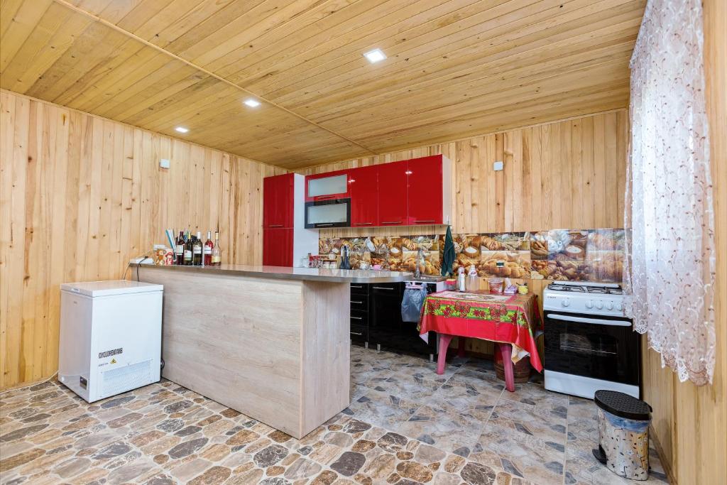 Kuchyň nebo kuchyňský kout v ubytování Guest House Nazo