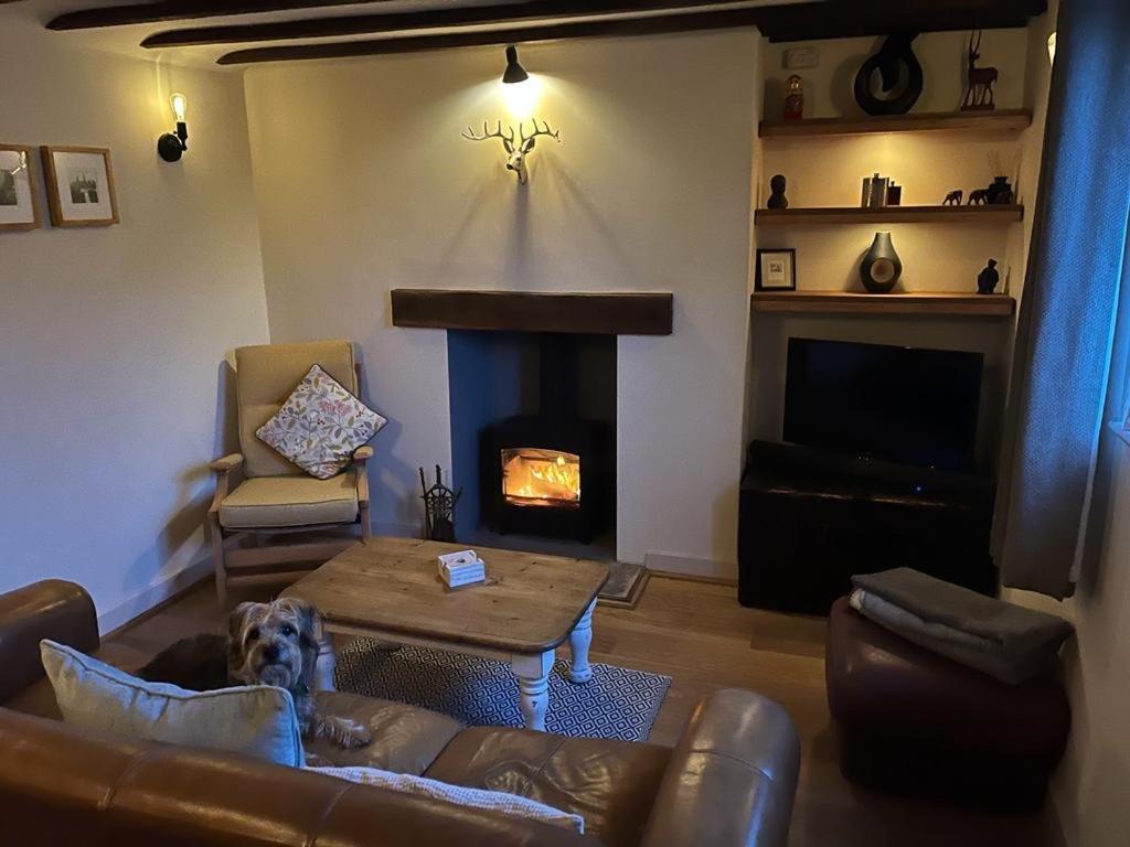 a living room with a couch and a fireplace at Cosy Flint Cottage in Eastbourne