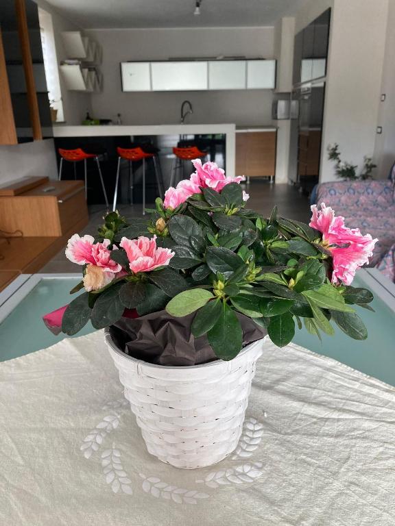 Zdjęcie z galerii obiektu SEVEN HOUSE w mieście Bra