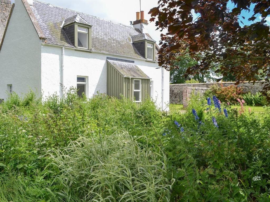 Uma casa branca com um monte de plantas à frente. em Glebe Cottage em Urray