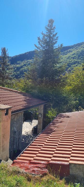 Fotografie z fotogalerie ubytování Irene's Cottage House v destinaci Kértezi