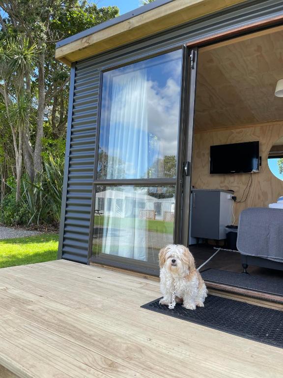 Athenree Hot Springs & Holiday Park - Resim 22