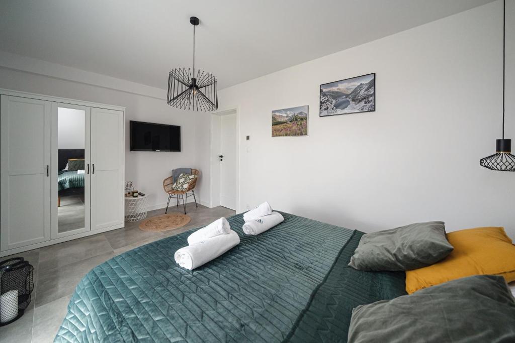 TV a/nebo společenská místnost v ubytování Apartamenty Osada Antałówka Zakopane
