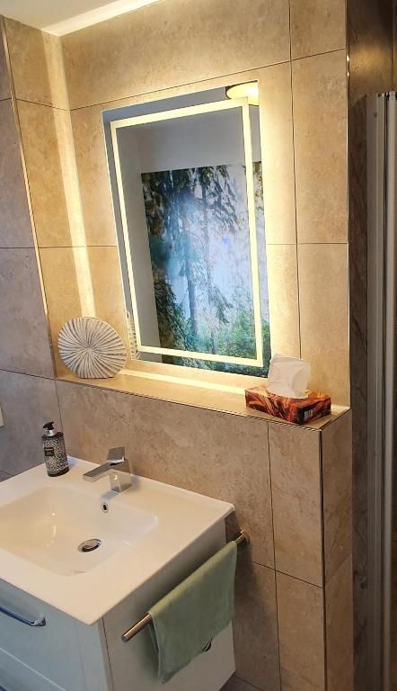 a bathroom with a sink and a mirror at Ferienwohnungen Thon an der Schloßruine in Herbsleben