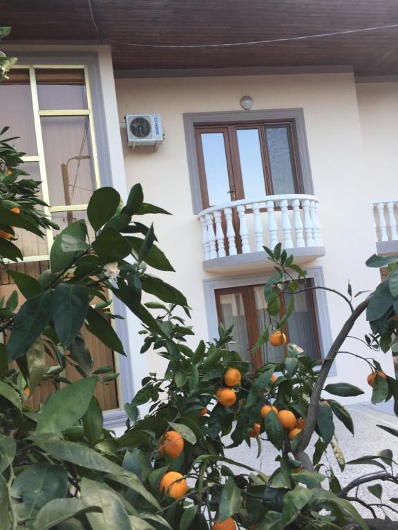 Balkón nebo terasa v ubytování Hotel Good Luck
