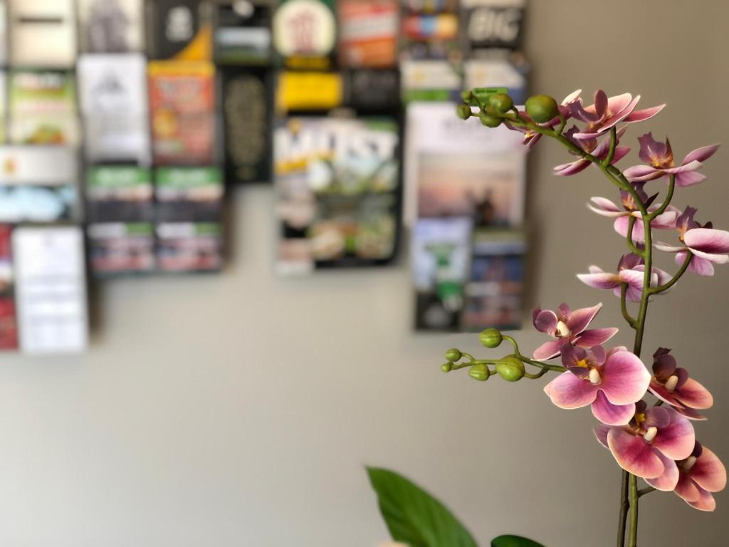 Arena Lodge - Resim 8