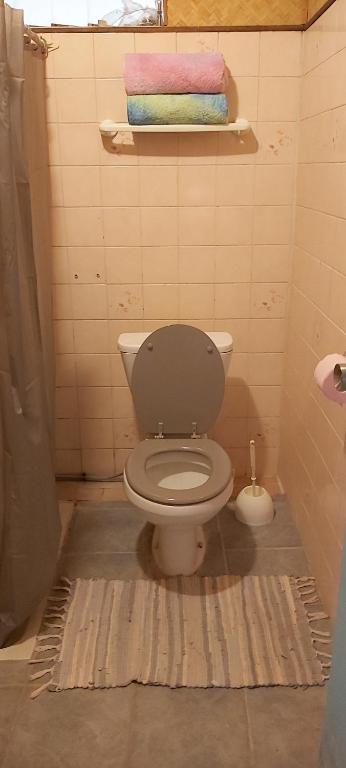 Koupelna v ubytování Raihei Auberge de jeunesse Chez l'habitant à Bora Bora