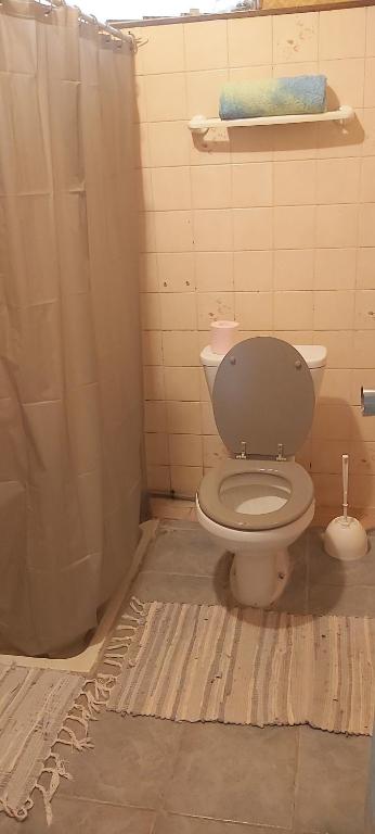 Koupelna v ubytování Raihei Auberge de jeunesse Chez l'habitant à Bora Bora