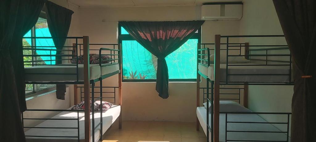 Palanda nebo palandy na pokoji v ubytování Raihei Auberge de jeunesse Chez l'habitant à Bora Bora