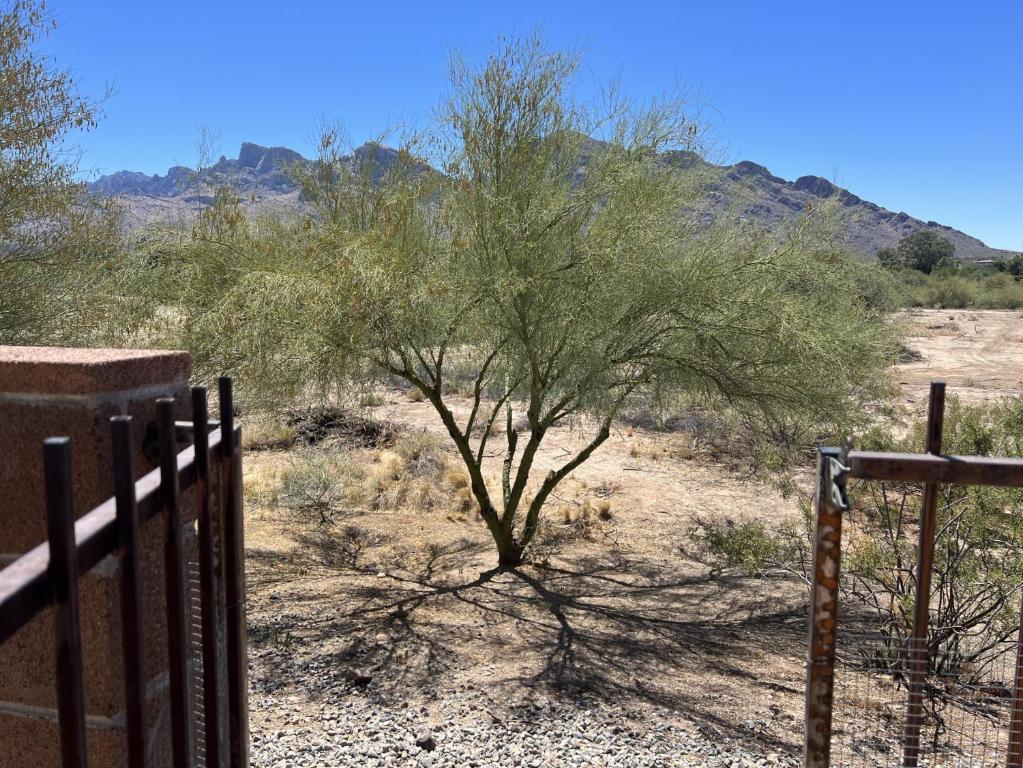 Private Home - Billiards, Mountain Views, Private Desert Access, HOA Pool & Spa, BBQ, at Lambert Park - Bourbondale - Haus Mit Vier Schlafzimmern