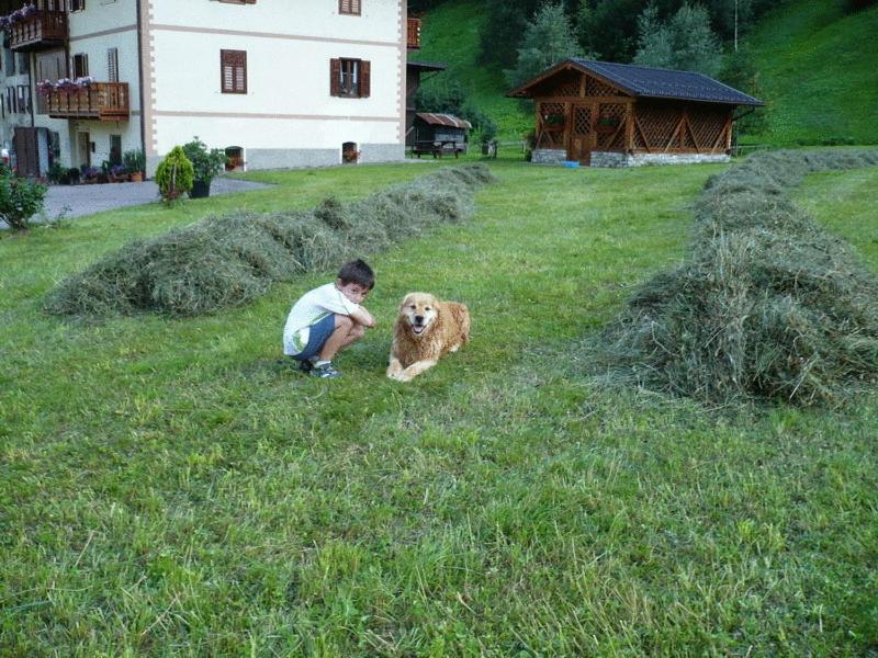 Zwierzęta zatrzymujące się w obiekcie B&B Il Sorriso Dei Nonni