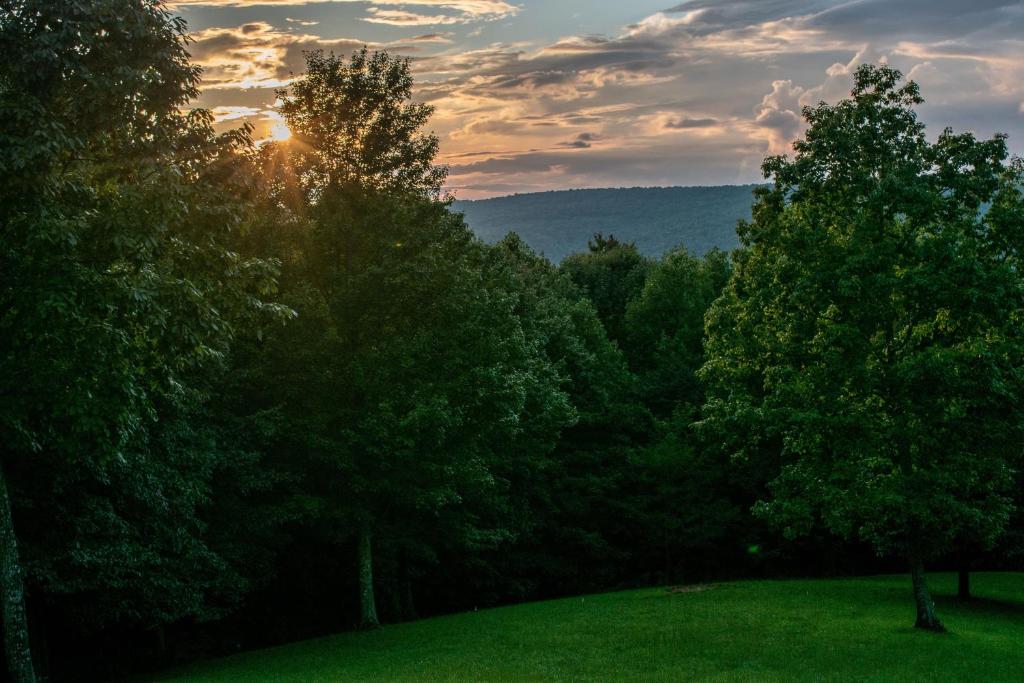 a sunset over a green field with trees at Treetop Hideaway at Barr5 Ranch in Dunlap