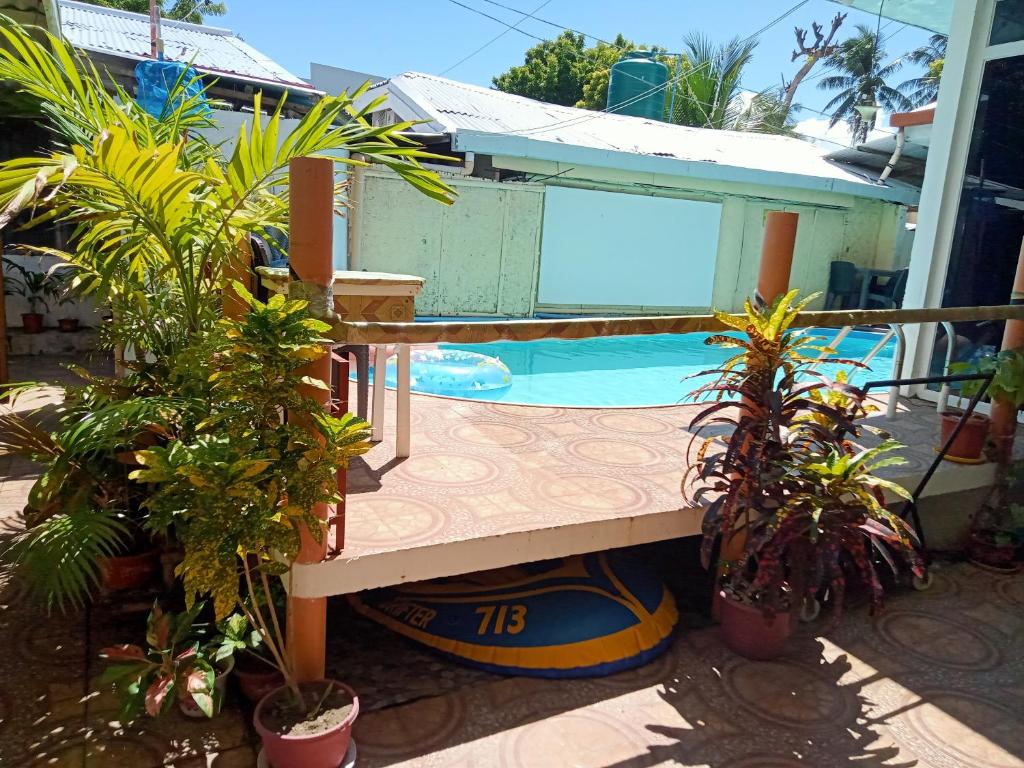 una piscina con un banco y algunas plantas en Okoy Guest House, en Bantayan Island