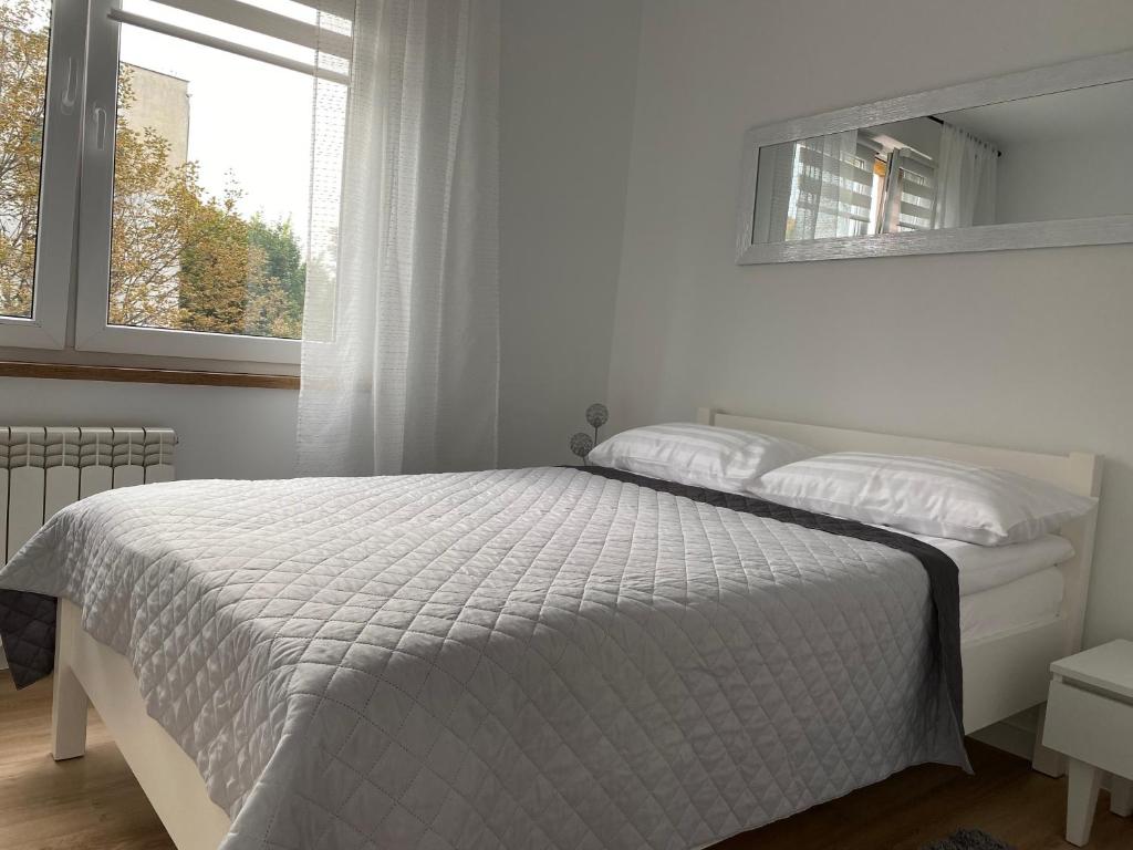een witte slaapkamer met een bed en een raam bij Apartament Cynamon II in Sandomierz