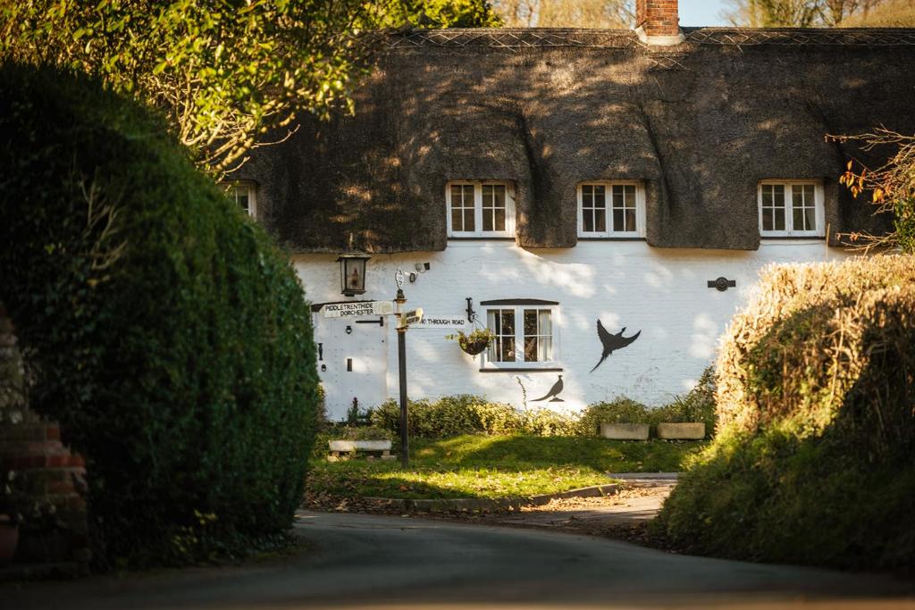 a white house with a thatched roof at Brace of Pheasants in Alton Pancras