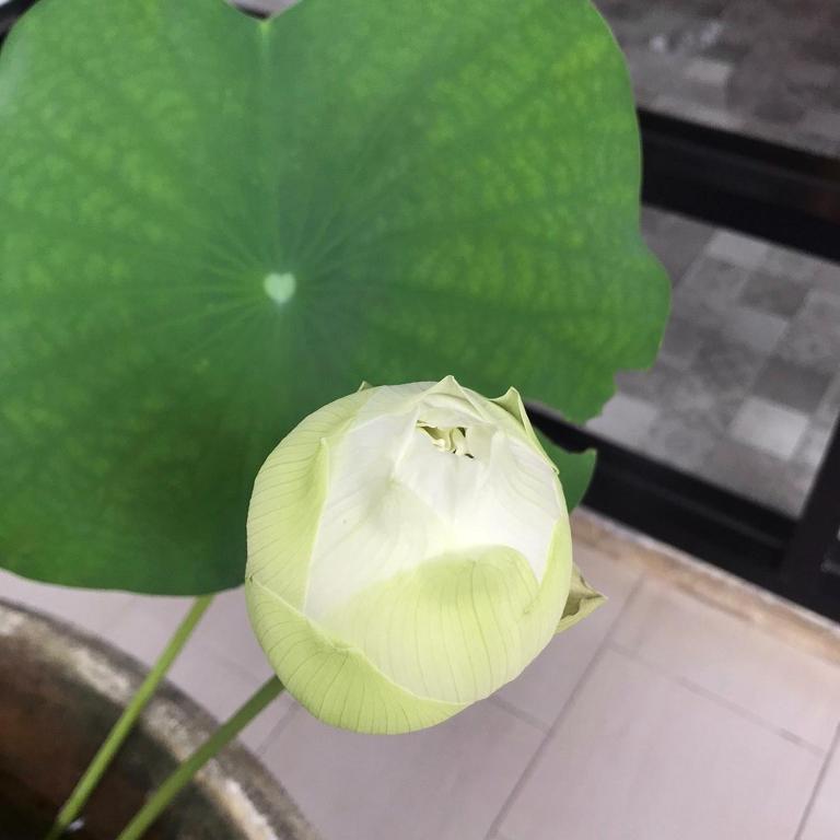 The Wishes Hotel at Chiangmai - Resim 30