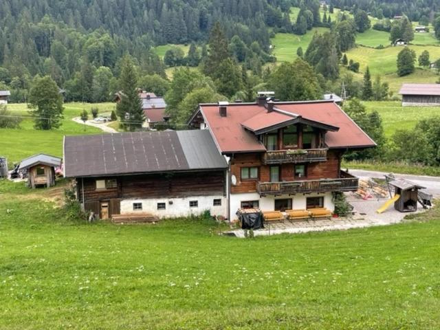 ein großes Holzhaus auf einem Grasfeld in der Unterkunft Natursport Heutal Appartements in Unken