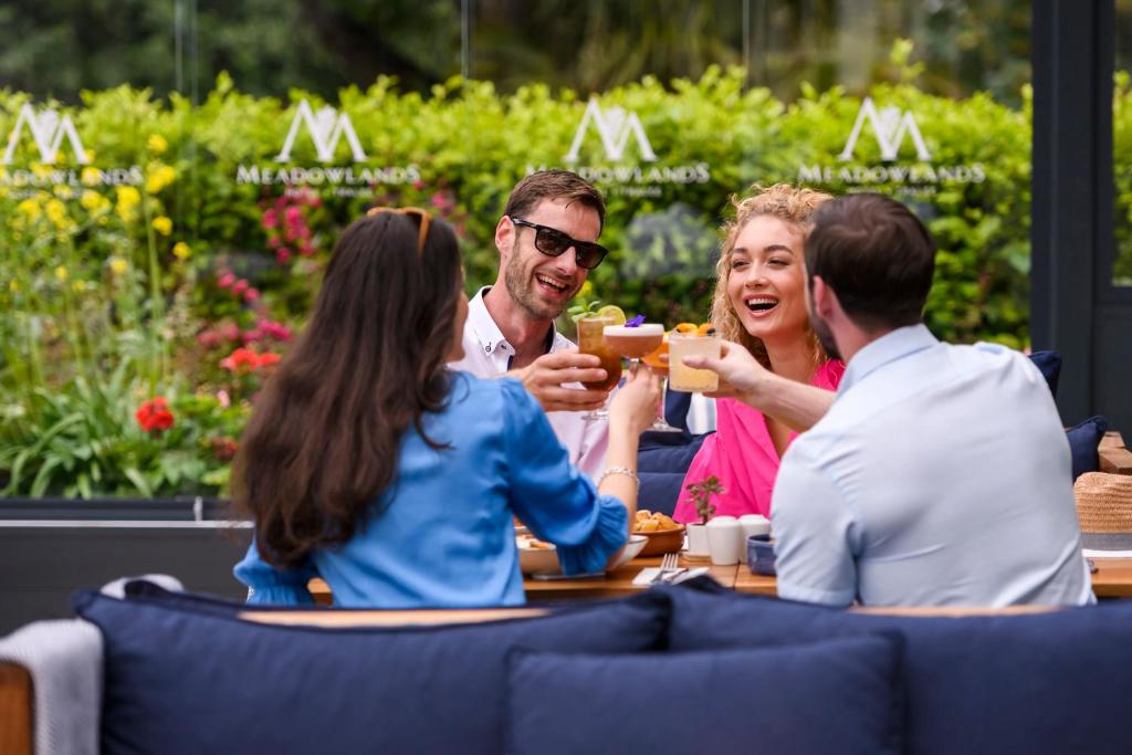 Majutusasutuse Meadowlands Hotel külastajad