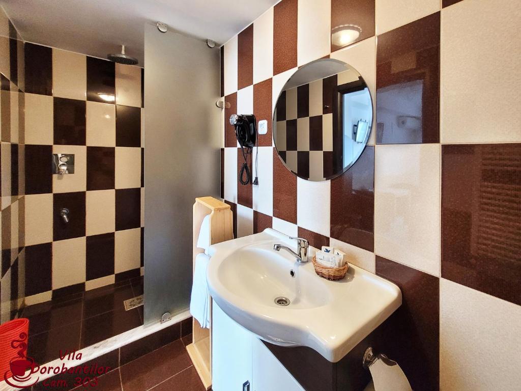 Vila Dorobantilor - Resim 17