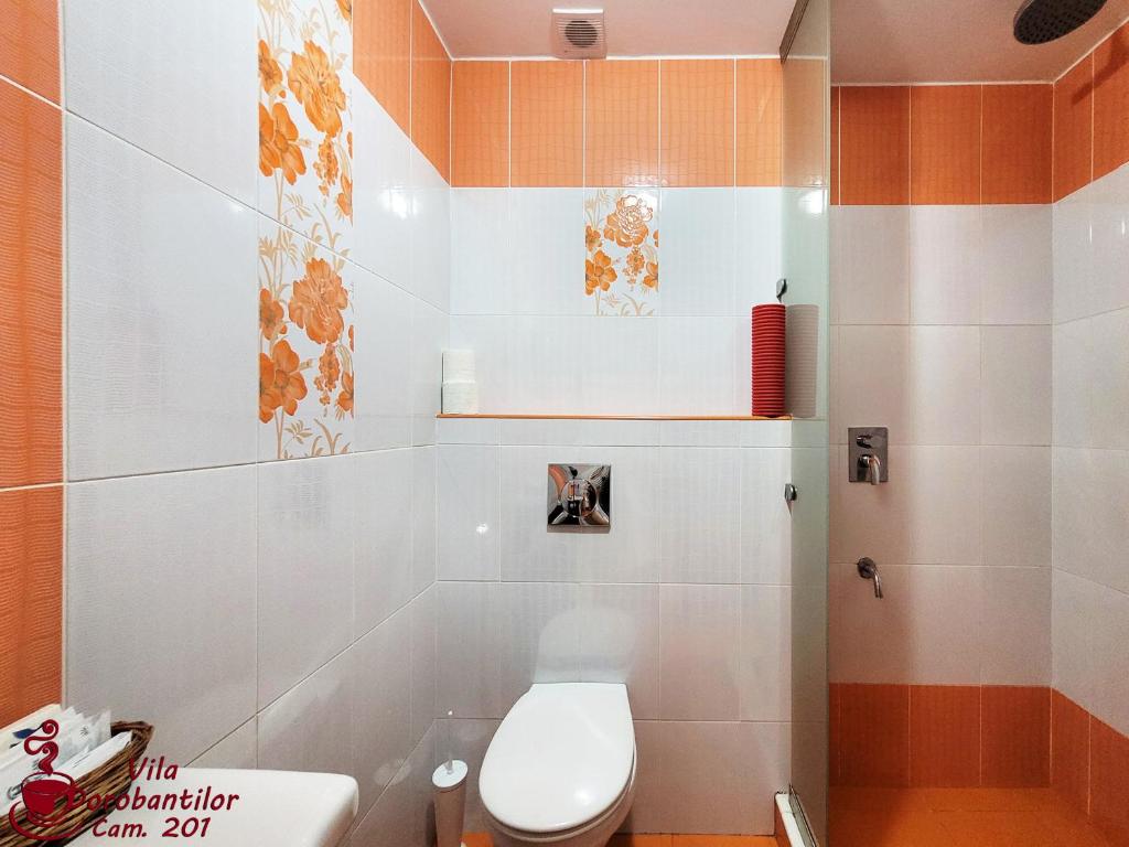 Vila Dorobantilor - Resim 22