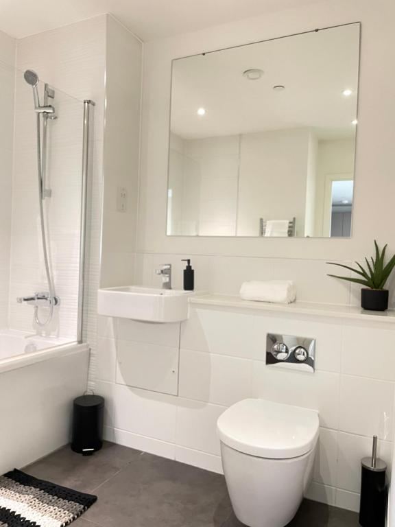 ein Badezimmer mit Toilette, Waschbecken und Spiegel in der Unterkunft Premier Suite- Bedford city centre with free gym & parking in Bedford