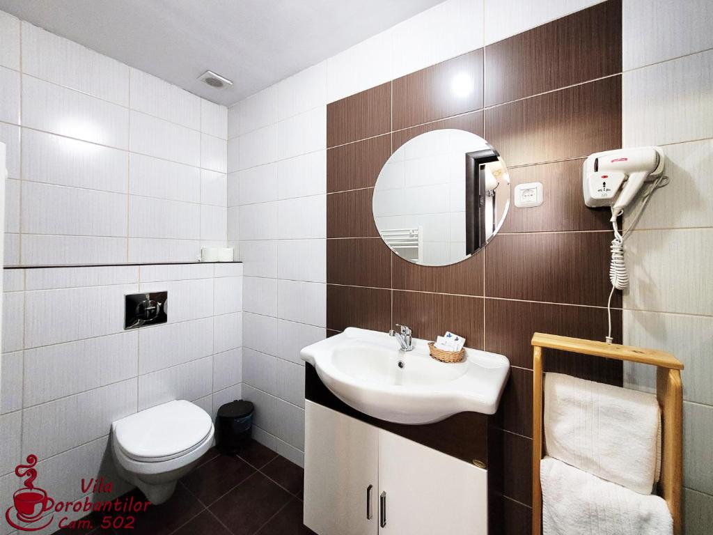 Vila Dorobantilor - Resim 39