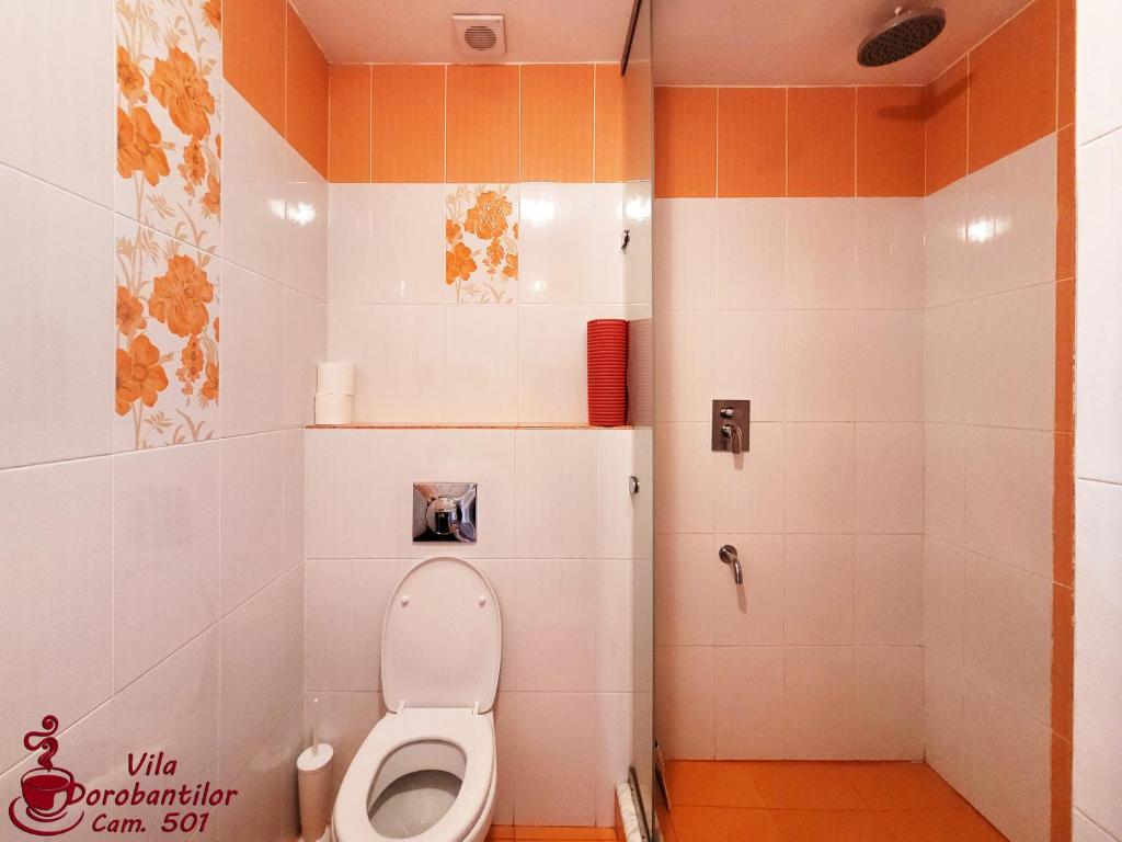 Vila Dorobantilor - Resim 45