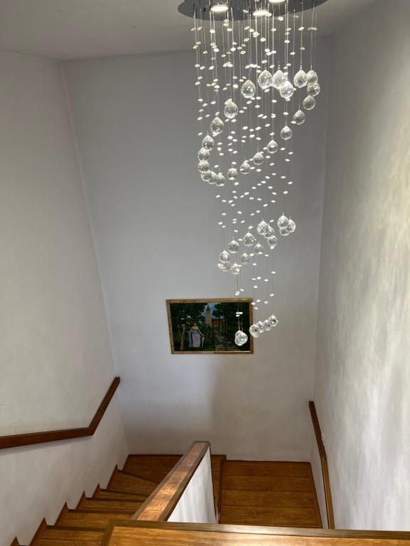 Fotografie z fotogalerie ubytování CASA DON v destinaci Temešvár
