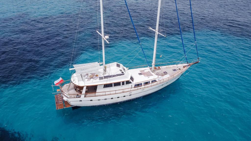 an overhead view of a boat in the water at SPACIOUS YACHT HOTEL BARCELONA CITY CENTER 5 CABINs in Barcelona